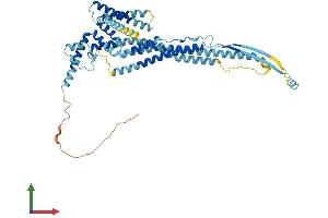 AlphaFold protein structure predicition of Mouse Recombinant Ocstamp Protein, UniprotID Q9D611 (OCSTAMP Protein (AA 1-498) (His tag))