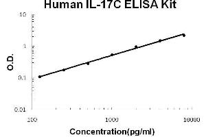 Human IL-17C PicoKine ELISA Kit standard curve (IL17C ELISA Kit)