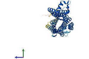 AlphaFold protein structure predicition of Mouse Recombinant Taar8b Protein, UniprotID Q5QD06 (TAAR8B Protein (AA 1-344) (His tag))