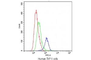 Flow cytometry testing of human ThP-1 cells with TLR1 antibody at 1ug/10^6 cells (blocked with goat sera) (TLR1 antibody)