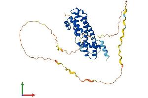 Protein Structure (PS) image for Increased Sodium Tolerance 1 Homolog (IST1) (AA 1-362) protein (His tag) (ABIN7560699)