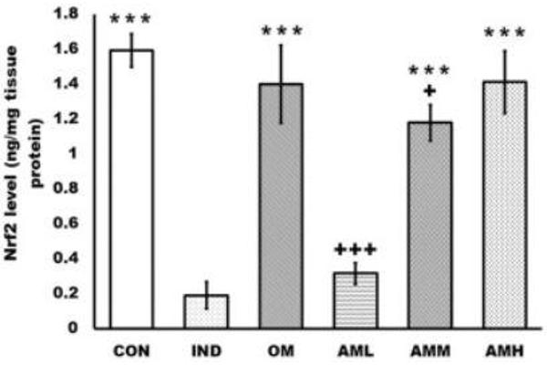 NRF2 ELISA Kit