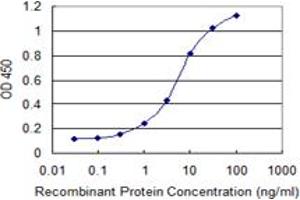 Detection limit for recombinant GST tagged MRPS36 is 0. (MRPS36 antibody  (AA 1-103))