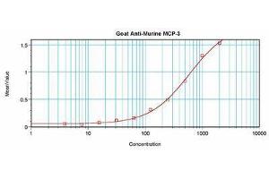 Image no. 2 for anti-Chemokine (C-C Motif) Ligand 7 (CCL7) antibody (ABIN465456) (CCL7 antibody)