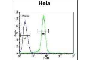 C15orf2 Antibody (Center) (ABIN6244208 and ABIN6579051) flow cytometric analysis of Hela cells (right histogram) compared to a negative control cell (left histogram). (NPAP1 antibody  (AA 348-377))