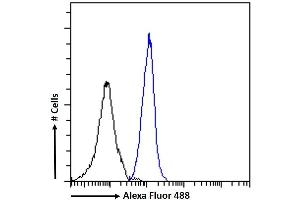 (ABIN571258) Flow cytometric analysis of paraformaldehyde fixed K562 cells (blue line), permeabilized with 0. (DCTN3 antibody  (Internal Region))