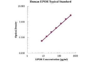 Erythropoietin Receptor (EPOR) ELISA Kit