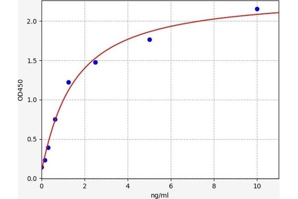 UBA3 ELISA Kit