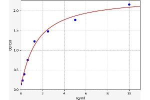 Typical standard curve (UBA3 ELISA Kit)
