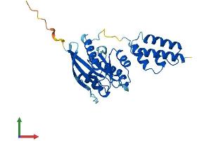 AlphaFold protein structure predicition of Mouse Recombinant Dnajc27 Protein, UniprotID Q8CFP6