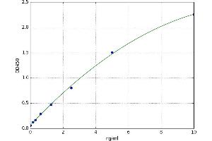 Relaxin 3 (RLN3) ELISA Kit