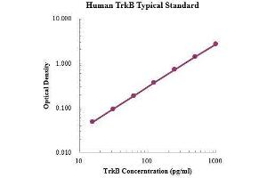 Neurotrophic Tyrosine Kinase, Receptor, Type 2 (NTRK2) ELISA Kit