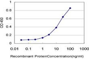 Detection limit for recombinant GST tagged LDB1 is approximately 1ng/ml as a capture antibody. (LIM Domain Binding 1 Protein antibody  (AA 1-110))