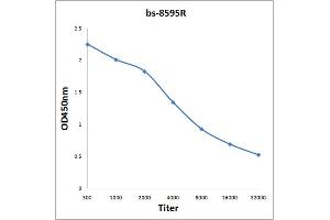 Antigen: 2 µg/100 µL  Primary: Antiserum, 1:500, 1:1000, 1:2000, 1:4000, 1:8000, 1:16000, 1:32000;  Secondary: HRP conjugated Rabbit Anti-Goat IgG at 1: 5000;  TMB staining Read the data in Microplate Reader by 450nm. (C9ORF72 antibody  (AA 391-481))