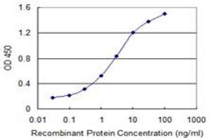 Detection limit for recombinant GST tagged OSTF1 is 0. (OSTF1 antibody  (AA 1-217))