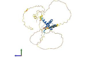 AlphaFold protein structure predicition of Mouse Recombinant Hoxd11 Protein, UniprotID P23813 (HOXD11 Protein (AA 1-323) (His tag))