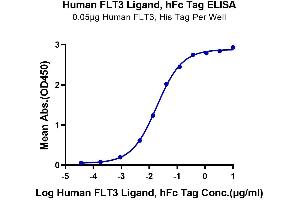 ELISA image for Fms-Related tyrosine Kinase 3 Ligand (FLT3LG) (AA 27-185) protein (Fc Tag) (ABIN7274658)