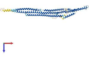 AlphaFold protein structure predicition of Human Recombinant SRGAP2C Protein, UniprotID P0DJJ0 (SLIT-ROBO rho GTPase Activating Protein 2C (SRGAP2C) (AA 1-459) protein (His tag))