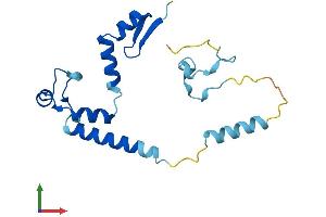 AlphaFold protein structure predicition of Human Recombinant ZMAT5 Protein, UniprotID Q9UDW3