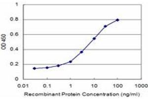 Detection limit for recombinant GST tagged CCT7 is approximately 0. (CCT7 antibody  (AA 425-528))