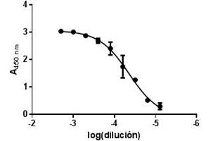 Indirect ELISA (GM2A antibody  (Isoform 1))