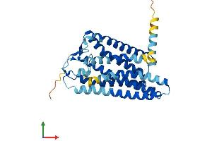AlphaFold protein structure predicition of Human Recombinant OR52B2 Protein, UniprotID Q96RD2 (OR52B2 Protein (AA 1-323) (His tag))