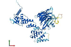 AlphaFold protein structure predicition of Mouse Recombinant Ccin Protein, UniprotID Q8CDE2 (Calicin Protein (CCIN) (AA 1-588) (His tag))