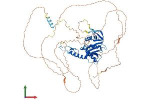 AlphaFold protein structure predicition of Human Recombinant ESCO2 Protein, UniprotID Q56NI9