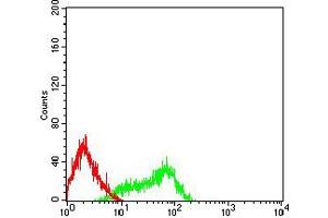 Flow cytometric analysis of HL-60 cells using CD335 mouse mAb (green) and negative control (red). (NCR1 antibody  (AA 22-258))