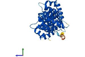 AlphaFold protein structure predicition of Mouse Recombinant Anxa8 Protein, UniprotID O35640