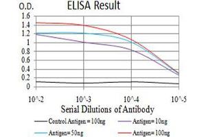 Black line: Control Antigen (100 ng);Purple line: Antigen (10ng); Blue line: Antigen (50 ng); Red line:Antigen (100 ng) (TRAF2 antibody  (AA 39-188))