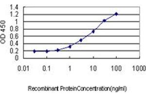 Detection limit for recombinant GST tagged DCTN2 is approximately 0. (Dynamitin antibody  (AA 302-401))