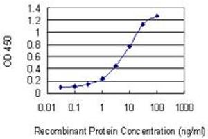Detection limit for recombinant GST tagged DAZAP2 is 0. (DAZAP2 antibody  (AA 93-168))