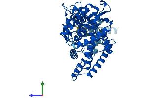 AlphaFold protein structure predicition of Mouse Recombinant Cyp2c70 Protein, UniprotID Q91W64 (CYP2C70 Protein (AA 1-489) (His tag))