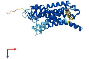 AlphaFold protein structure predicition of Human Recombinant OR51A7 Protein, UniprotID Q8NH64 (OR51A7 Protein (AA 1-312) (His tag))