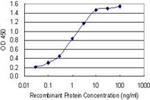 Detection limit for recombinant GST tagged PGRMC1 is 0. (PGRMC1 antibody  (AA 96-195))