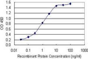 Detection limit for recombinant GST tagged PGRMC1 is 0. (PGRMC1 antibody  (AA 96-195))