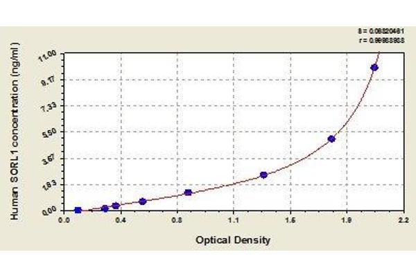SORL1 ELISA Kit
