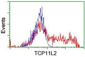 HEK293T cells transfected with either RC207129 overexpress plasmid (Red) or empty vector control plasmid (Blue) were immunostained by anti-TCP11L2 antibody (ABIN2453874), and then analyzed by flow cytometry. (TCP11L2 antibody)