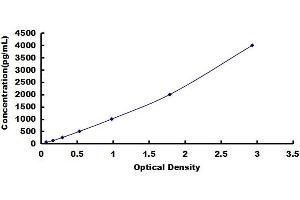 Phospholipase A2, Group IIA (Platelets, Synovial Fluid) (PLA2G2A) ELISA Kit