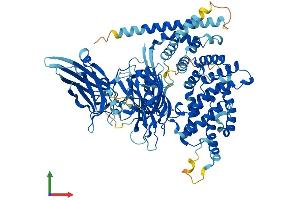 AlphaFold protein structure predicition of Human Recombinant RASAL1 Protein, UniprotID O95294