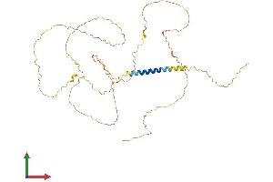 Protein Structure (PS) image for Lymphocyte Transmembrane Adaptor 1 (LAX1) (AA 1-398) protein (His tag) (ABIN7548850)