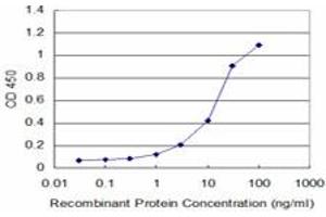 Detection limit for recombinant GST tagged SEPT11 is approximately 1ng/ml as a capture antibody. (Septin 11 antibody  (AA 71-180))