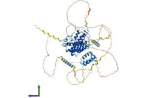 AlphaFold protein structure predicition of Mouse Recombinant Brd3 Protein, UniprotID Q8K2F0 (BRD3 Protein (AA 1-726) (His tag))