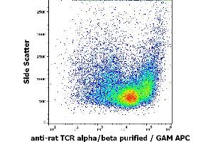 Flow cytometry surface staining pattern of rat thymocyte suspension stained using anti-rat TCR alpha/beta (R73) purified antibody (concentration in sample 1. (TCR alpha/beta antibody)