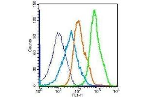 Flow Cytometry (FACS) image for anti-Nuclear Factor-kB p65 (NFkBP65) (AA 51-100) antibody (ABIN668961)