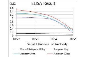 Black line: Control Antigen (100 ng), Purple line: Antigen(10 ng), Blue line: Antigen (50 ng), Red line: Antigen (100 ng), (ACP5 antibody  (AA 221-325))