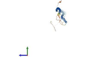 AlphaFold protein structure predicition of Mouse Recombinant Rilp Protein, UniprotID Q5ND29 (RILP Protein (AA 1-369) (His tag))