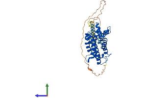 AlphaFold protein structure predicition of Mouse Recombinant Gltpd2 Protein, UniprotID Q8K0R6