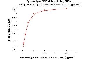 ELISA image for Signal-Regulatory Protein alpha (SIRPA) (AA 31-370) (Active) protein (His tag) (ABIN6253574)
